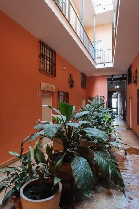 Selecta Elegante Y Centrico Apartamento Seville Ngoại thất bức ảnh